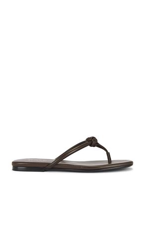 SANDALES AARAV en . Taille 6. Also en 6.5, 7, 7.5, 8, 8.5, 9, 9.5 - RAYE - Modalova