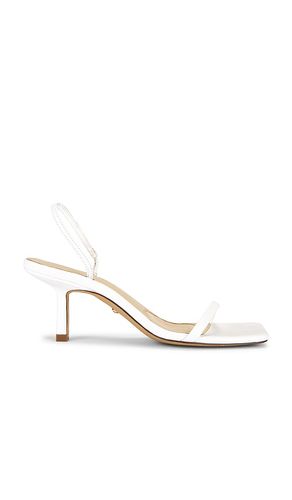 SANDALES LINZ en . Taille 6.5. Also en - RAYE - Modalova