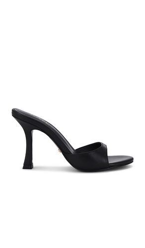 ESCARPINS ALEJANDRA en . Taille 6.5. Also en 9 - RAYE - Modalova