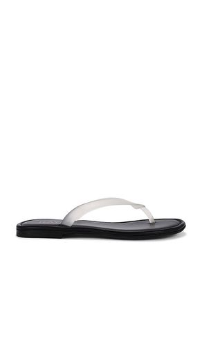 SANDALES ORION en . Taille 6.5. Also en - RAYE - Modalova