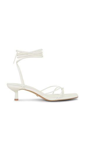 SANDALES JADEN in . Size 5.5, 7, 7.5, 8 - RAYE - Modalova