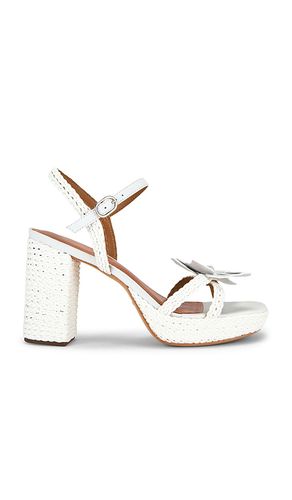 SANDALES SOLIA en . Taille 5. Also en 5.5, 6, 6.5, 7.5, 8, 8.5, 9, 9.5, 10, 10.5 - RAYE - Modalova