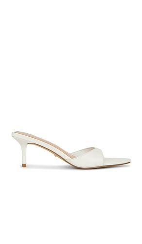 SANDALES CHAD en . Taille 5.5. Also en 6, 6.5, 7, 7.5, 8, 8.5, 9, 9.5, 10 - RAYE - Modalova