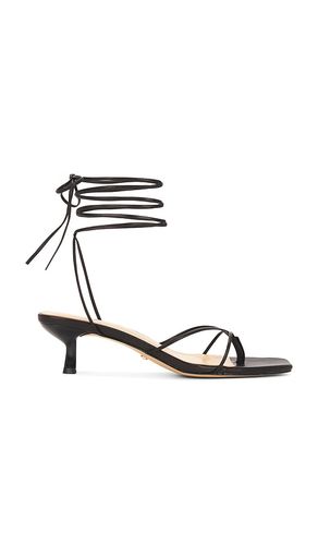 SANDALES JADEN en . Taille 5.5. Also en 6, 6.5, 7, 7.5, 8, 8.5, 9, 9.5, 10 - RAYE - Modalova