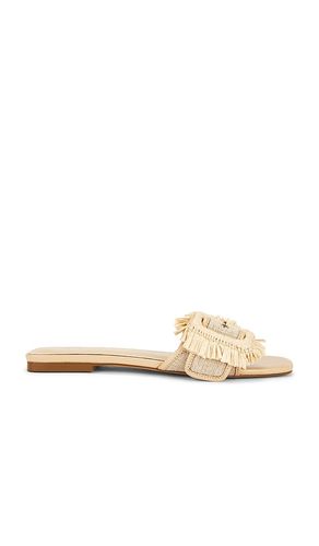 SANDALES KAELI en . Taille 5.5. Also en 8 - RAYE - Modalova