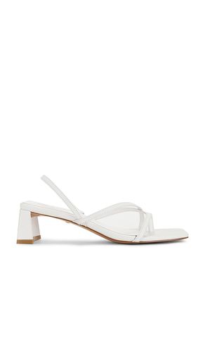 SANDALES PORTER en . Taille 5. Also en 7, 8, 10 - RAYE - Modalova