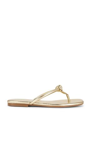 SANDALES AARAV en . Taille 6.5. Also en 7, 7.5, 8 - RAYE - Modalova