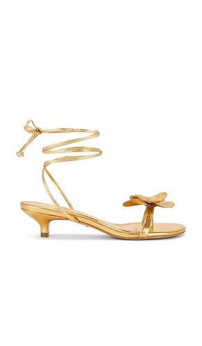 SANDALES CATALINA en . Taille 6. Also en - RAYE - Modalova