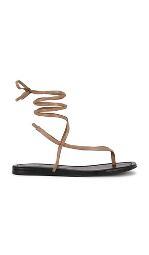 SANDALES ADITI en . Taille 6. Also en 6.5, 8 - RAYE - Modalova
