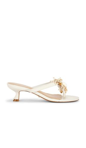 SANDALES IMAN en . Taille 5.5. Also en 6 - RAYE - Modalova