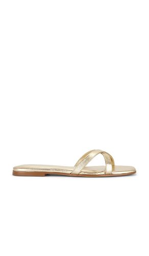 SANDALES YASMINAH en . Taille 5.5. Also en 7.5, 9 - RAYE - Modalova