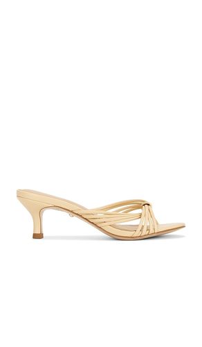 SANDALES RIHAN en . Taille 10. Also en 5.5, 6, 6.5, 7, 7.5, 8, 8.5, 9, 9.5 - RAYE - Modalova