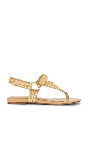 SANDALES ADELINA en . Taille 6.5. Also en 7, 7.5, 8, 9 - RAYE - Modalova