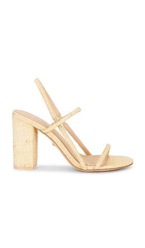 SANDALES AMIT en . Taille 10. Also en 6, 6.5, 7, 7.5, 8, 8.5, 9, 9.5 - RAYE - Modalova