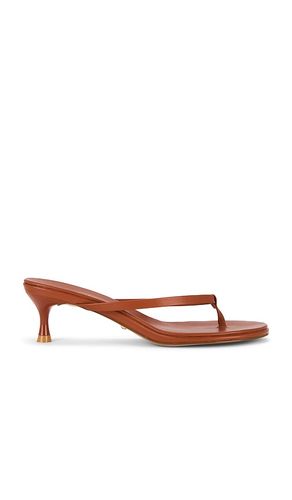 SANDALES KIMME en . Taille 5.5. Also en 6, 8 - RAYE - Modalova