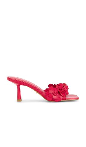 SANDALES HANA en . Taille 5.5. Also en 7.5 - RAYE - Modalova