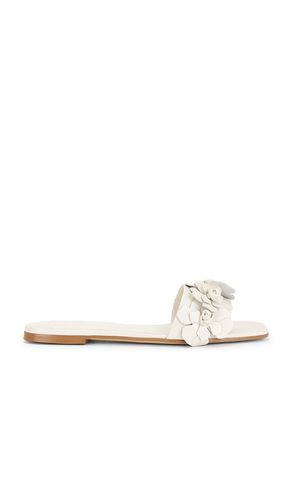 SANDALES IRIS en . Taille 6. Also en 6.5, 7, 8.5 - RAYE - Modalova