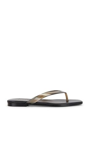 SANDALES PALOMA en . Taille 6. Also en 7, 8 - RAYE - Modalova