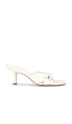 SANDALES ELIA en . Taille 6.5. Also en 7 - RAYE - Modalova
