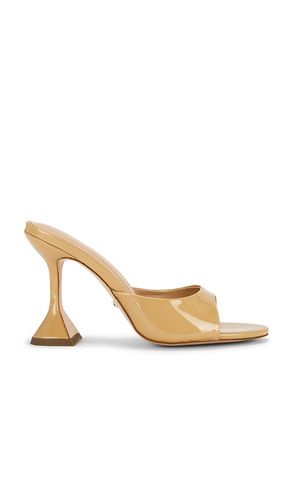 SANDALES POLINA en . Taille 6. Also en 6.5, 7, 7.5, 8, 8.5, 9, 10 - RAYE - Modalova