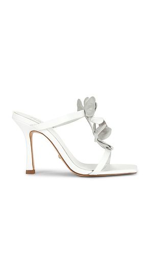 SANDALES SOLANA en . Taille 5.5. Also en 7, 7.5, 8 - RAYE - Modalova