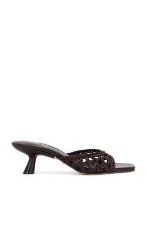SANDALES TRINITY en . Taille 5.5. Also en 6, 6.5, 7, 7.5, 8, 8.5, 9, 9.5, 10 - RAYE - Modalova