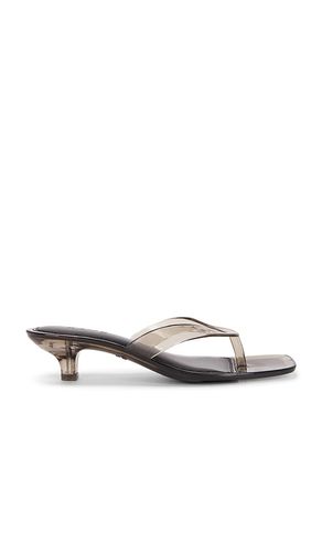 SANDALES SHELLY en . Taille 6. Also en 7, 8, 9, 10 - RAYE - Modalova