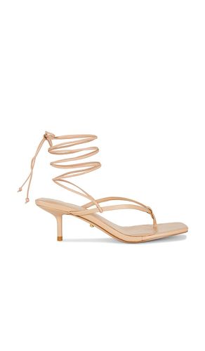 SANDALES EVEY en . Taille 5.5. Also en 6, 6.5, 7, 7.5, 8, 8.5, 9, 9.5, 10 - RAYE - Modalova