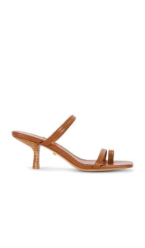 SANDALES LIANI en . Taille 5.5. Also en 6.5, 7, 7.5, 8, 8.5, 9, 9.5, 10 - RAYE - Modalova