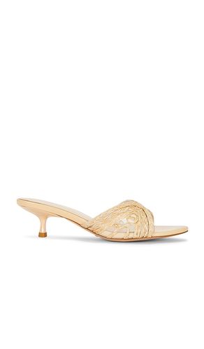 SANDALES AYLIN en . Taille 5.5. Also en 6, 7.5, 8, 8.5, 9, 9.5, 10 - RAYE - Modalova