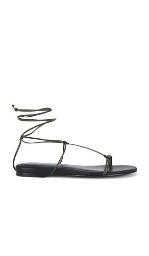 SANDALES ELISA en . Taille 6. Also en 6.5, 7, 7.5, 8, 8.5, 9, 9.5, 10 - RAYE - Modalova
