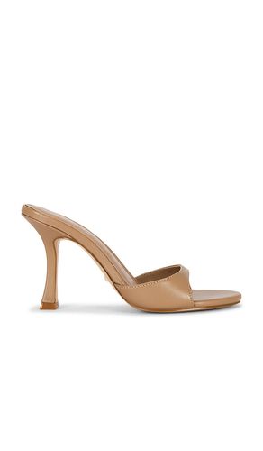 SANDALES ALEJANDRA en . Taille 5.5. Also en 6, 6.5, 7, 7.5, 8, 8.5, 9, 9.5, 10 - RAYE - Modalova