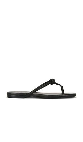 SANDALES AARAV en . Taille 5.5. Also en 6, 6.5, 7, 7.5, 8, 8.5, 9, 9.5, 10 - RAYE - Modalova