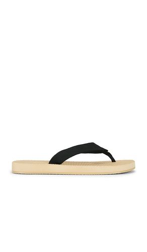 Cane Flip Flop en . Taille 5. Also en 6, 7, 8, 9, 10 - RAYE - Modalova