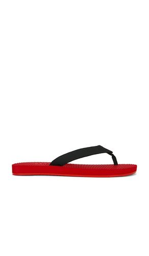 Cane Flip Flop en . Taille 5. Also en 6, 7, 8, 9, 10 - RAYE - Modalova