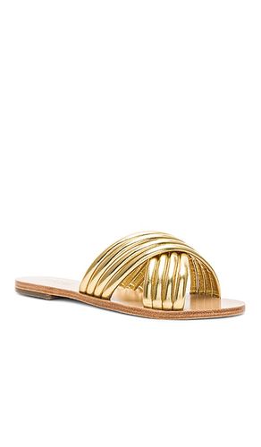 NU-PIED ZIGGY en . Taille 5.5. Also en 6.5, 7, 8 - RAYE - Modalova