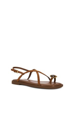 SANDALES PLATES REMI en . Taille 36. Also en 38, 39 - Rag & Bone - Modalova