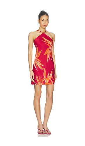 ROBE DRESS en . Taille S. Also en XXS, XS, M, L, XL - ROCOCO SAND - Modalova