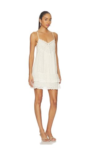 ROBE COURTE LACE DETAIL MINI DRESS en . Taille S. Also en XXL - ROCOCO SAND - Modalova