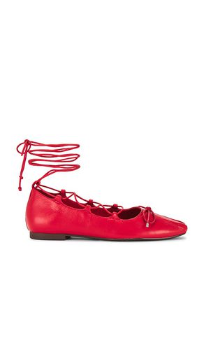 Arissa Lace Up Flat in . Size 6, 6.5, 7, 7.5, 8, 8.5, 9, 9.5 - Schutz - Modalova