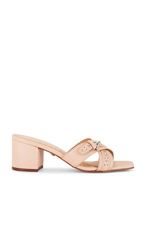 MULES VINNIE in . Size 7.5, 8, 9.5 - Schutz - Modalova