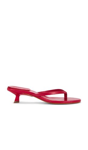SANDALES CAROLYN en . Taille 6. Also en 9.5 - Schutz - Modalova
