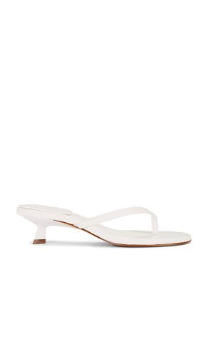 SANDALES CAROLYN en . Taille 6. Also en 7, 7.5, 8.5 - Schutz - Modalova