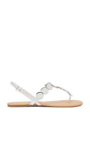 SANDALES ACACIA T en , . Taille 6. Also en 7.5 - Schutz - Modalova