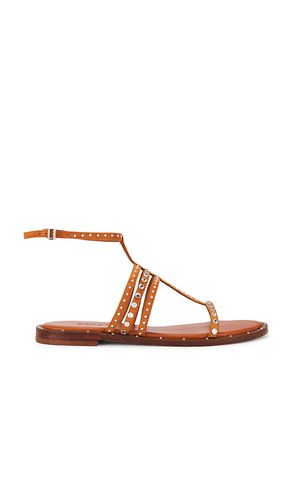 SANDALES ISIDORA in . Size 6, 6.5, 7, 7.5, 8, 8.5, 9, 9.5 - Schutz - Modalova