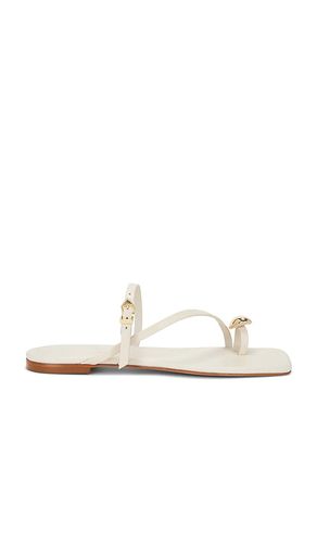 SANDALES ELYSA en . Taille 11. Also en - Schutz - Modalova