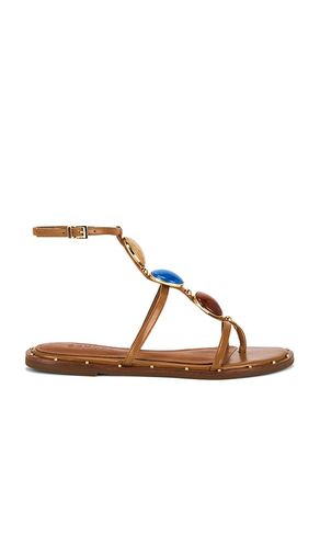 SANDALES MILOS FLAT en . Taille 6. Also en 5, 5.5 - Schutz - Modalova