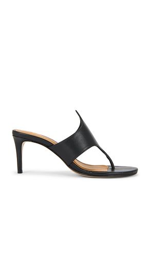SANDALES ELENA in . Size 6.5, 7, 7.5, 8, 8.5, 9, 9.5 - Schutz - Modalova