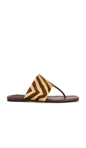 PLAT MARTHA en . Taille 6. Also en 8.5 - Schutz - Modalova