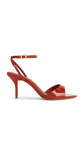 SANDALES ELODIE BUCKLE en . Taille 6. Also en 6.5, 7.5, 8, 8.5, 9, 9.5 - Schutz - Modalova